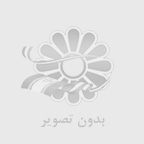 راز موفقیت در فارکس: آموزش کاربردی بر اساس بهترین سبک معاملاتی